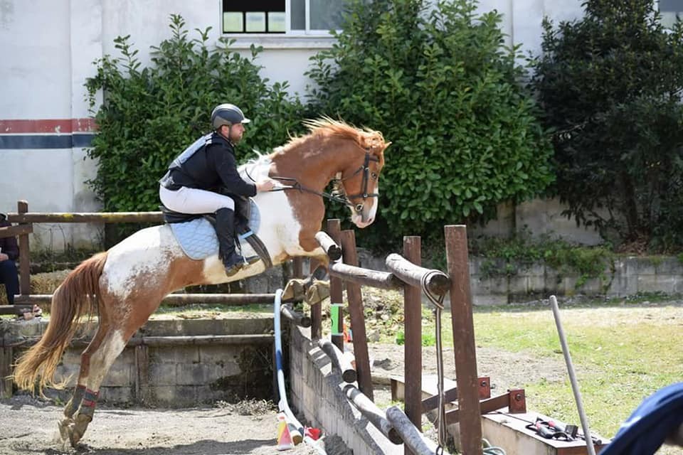 Resultados Concurso Nacional de Trec*** y Campeonato Navarro 2018